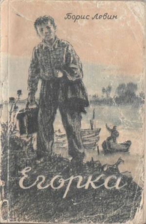 обложка книги Егорка - Борис Левин