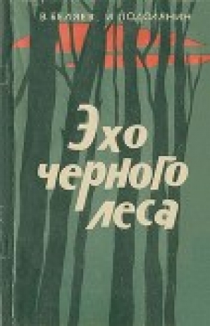 обложка книги Эхо Черного леса - Владимир Беляев