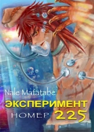 обложка книги Эксперимент номер 225 (СИ) - Nale Matatabe
