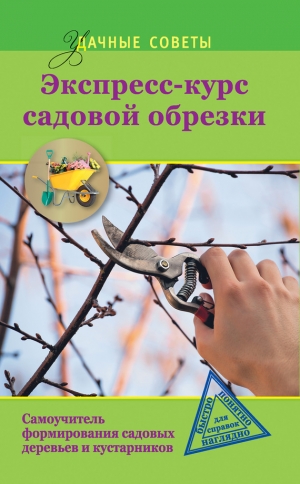 обложка книги Экспресс-курс садовой обрезки - Ирина Окунева