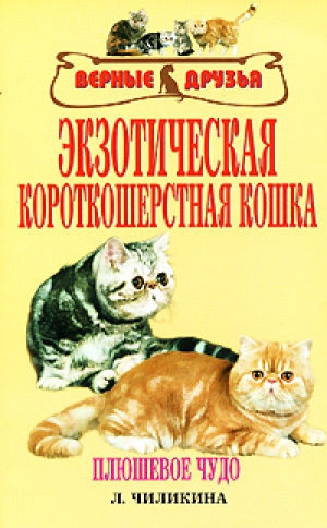 обложка книги Экзотическая короткошерстная кошка - Л. Чиликина