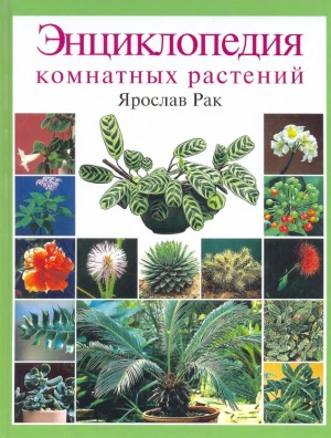 обложка книги Энциклопедия комнатных растений - Ярослав Рак