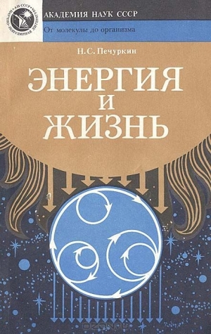 обложка книги Энергия и жизнь - Николай Печуркин