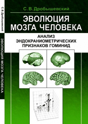 обложка книги Эволюция мозга человека: Анализ эндокраниометрических признаков гоминид - Станислав Дробышевский