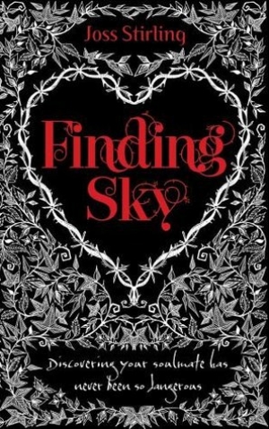 обложка книги Finding Sky - Joss Stirling