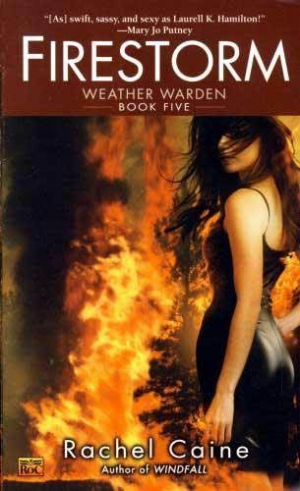 обложка книги Firestorm - Rachel Caine