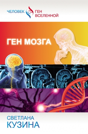 обложка книги Ген мозга - Светлана Кузина