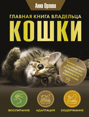 обложка книги Главная книга владельца кошки - Анна Орлова