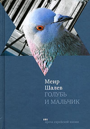 обложка книги Голубь и Мальчик - Меир Шалев