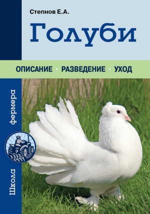обложка книги Голуби - Евгений Степнов