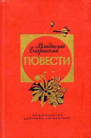обложка книги Голубые луга - Владислав Бахревский
