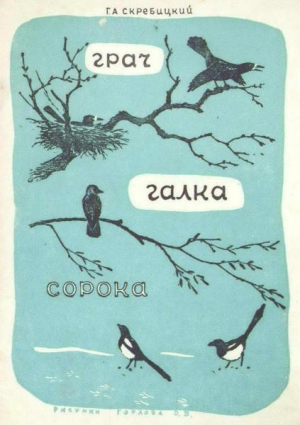 обложка книги Грач, галка, сорока - Георгий Скребицкий