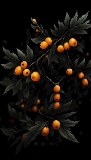 обложка книги Граница - Сергей Блинов