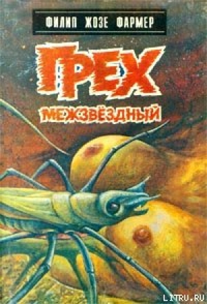 обложка книги Грех межзвездный - Филип Хосе Фармер