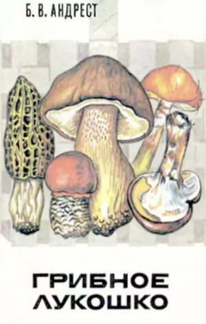 обложка книги Грибное лукошко - Борис Андрест
