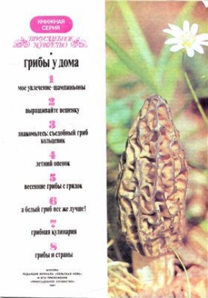 обложка книги Грибы у дома - Н. Митникова