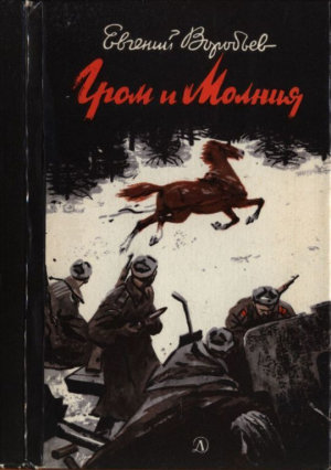 обложка книги Гром и Молния - Евгений Воробьев