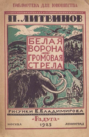 обложка книги Громовая стрела - Павел Литвинов