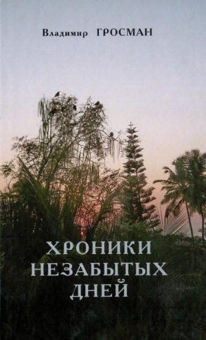 обложка книги Хроники незабытых дней - Владимир Гросман