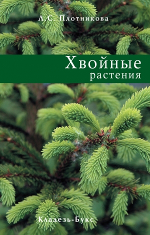 обложка книги Хвойные растения - Лилиан Плотникова