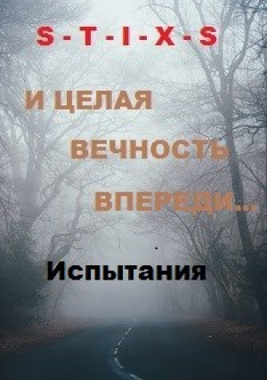 обложка книги И целая вечность впереди... (СИ) - Чайкин Юрий