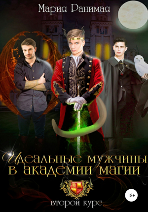 обложка книги Идеальные мужчины в академии магии - Мария Ранимая