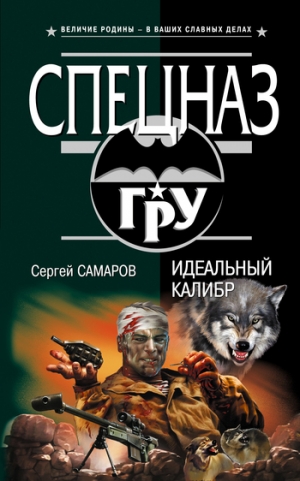 обложка книги Идеальный калибр - Сергей Самаров