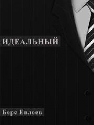 обложка книги Идеальный (СИ) - Берс Евлоев