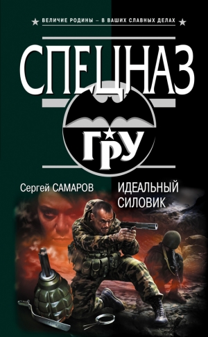 обложка книги Идеальный силовик - Сергей Самаров