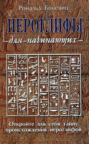 обложка книги Иероглифы для начинающих - Рональд Боневиц