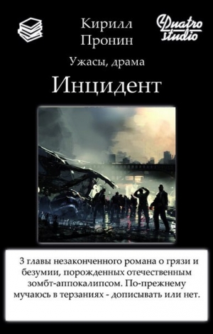 обложка книги Инцидент (СИ) - Кирилл Пронин