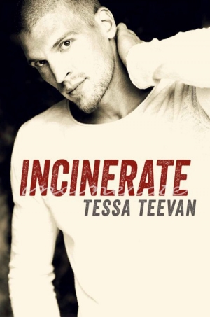 обложка книги Incinerate - Tessa Teevan