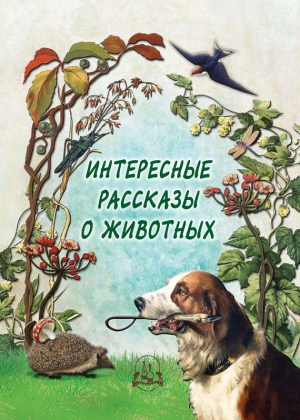 обложка книги Интересные рассказы о животных - Н. Рудакова