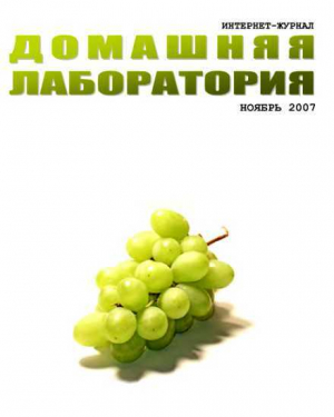 обложка книги Интернет-журнал "Домашняя лаборатория", 2007 №11 - Журнал «Домашняя лаборатория»