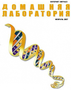 обложка книги Интернет-журнал "Домашняя лаборатория", 2007 №2 - Журнал «Домашняя лаборатория»