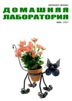 обложка книги Интернет-журнал "Домашняя лаборатория", 2007 №6 - Журнал «Домашняя лаборатория»