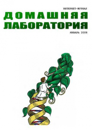 обложка книги Интернет-журнал "Домашняя лаборатория", 2008 №1 - Журнал «Домашняя лаборатория»