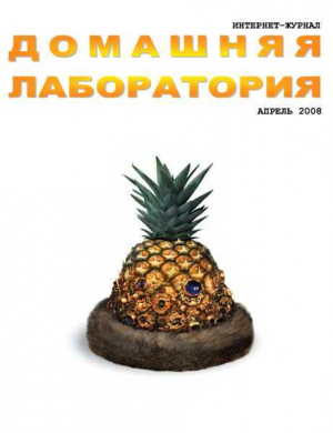 обложка книги Интернет-журнал "Домашняя лаборатория", 2008 №4 - Журнал «Домашняя лаборатория»