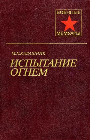 обложка книги Испытание огнем - Михаил Калашник