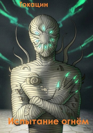 обложка книги Испытание огнём (СИ) - . Токацин