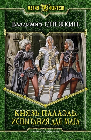 обложка книги Испытания для мага - Владимир Снежкин