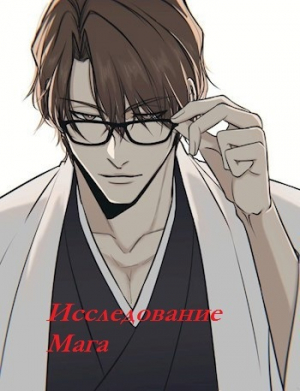 обложка книги Исследование Мага. Часть первая (СИ) - Pluxa