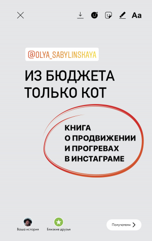 обложка книги Из бюджета только кот. Книга о продвижении и прогревах в инстаграме - Оля Сабылинская