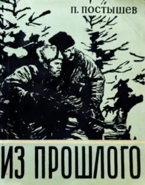 обложка книги Из прошлого - Павел Постышев