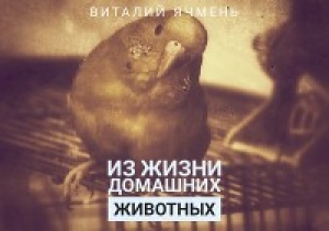 обложка книги Из жизни домашних животных (СИ) - Виталий Ячмень