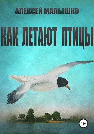 обложка книги Как летают птицы - Алексей Малышко