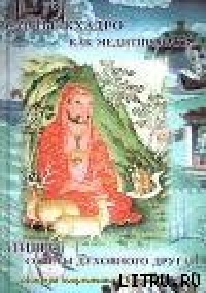 обложка книги Как медитировать - Сантье Кхадро
