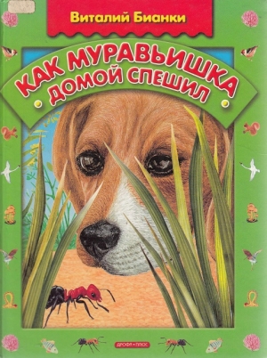 обложка книги Как муравьишка домой спешил - Виталий Бианки