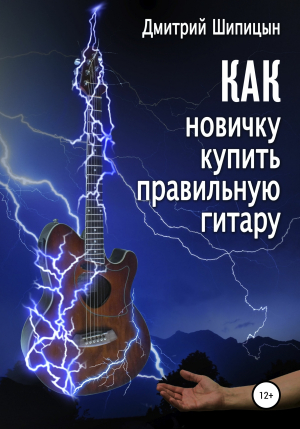 обложка книги Как новичку купить правильную гитару - Дмитрий Шипицын