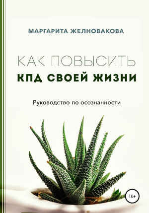 обложка книги Как повысить КПД своей жизни - Маргарита Желновакова